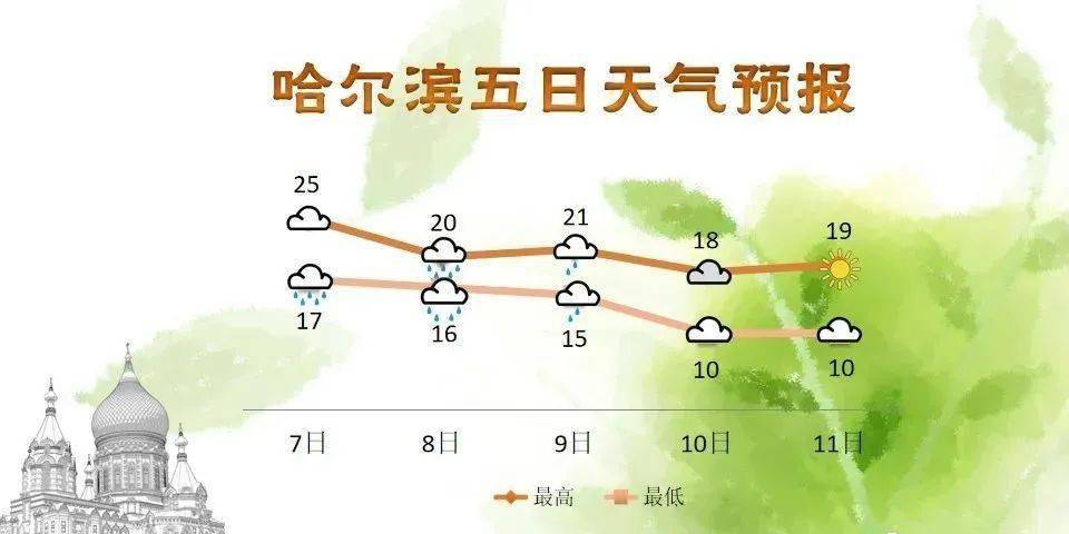 2024年11月17日水杏最新趋势，深入分析与个人观点