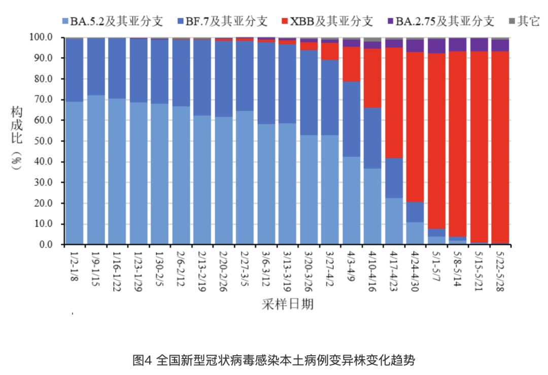 守护家园，揭秘十二月后海区疫情数据图