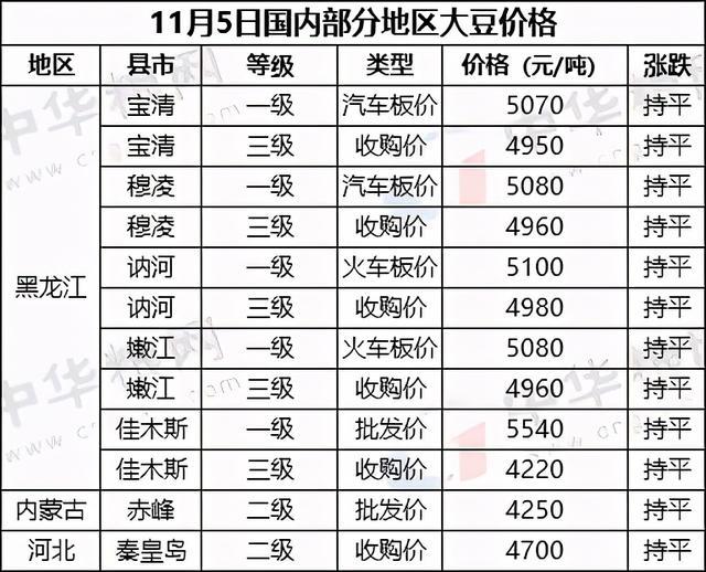 揭秘未来玉米实时粮价，下载指南与查询表下载