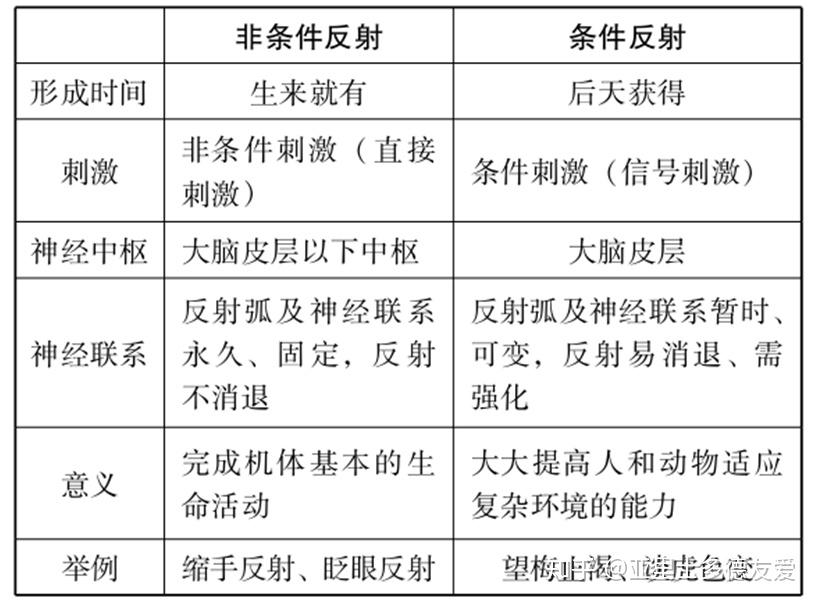 揭秘高效ATP突触，能量转换与信息传递的奥秘探索