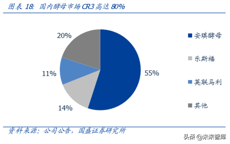 孙露露全球排名深度解析