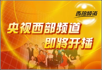 独家解析，头条新闻热点深度解读——12月8日全方位报道