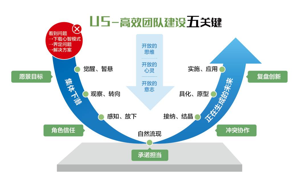 高效组织原则，打造卓越团队的核心秘诀！