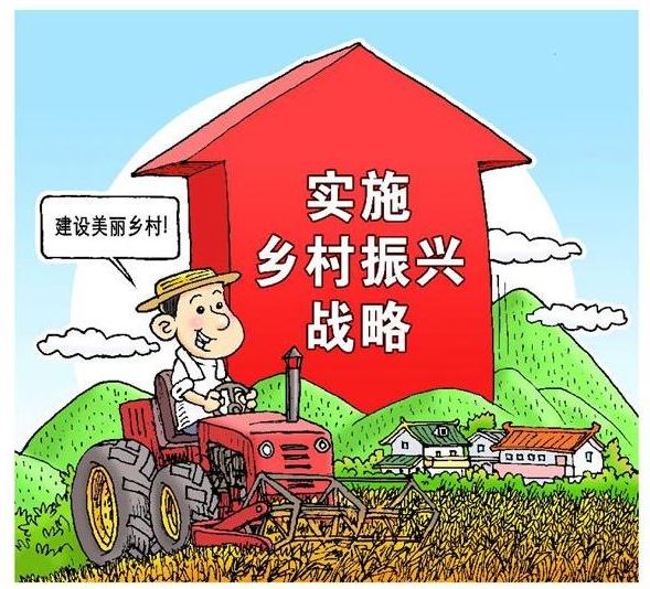 土地承包政策助力农业现代化与农村振兴，关键举措落实行动