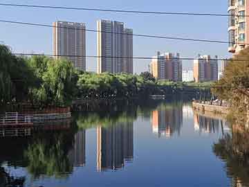 广东鸡市风云再起，最新行情点燃激情，学习变化与自信成就梦想之路