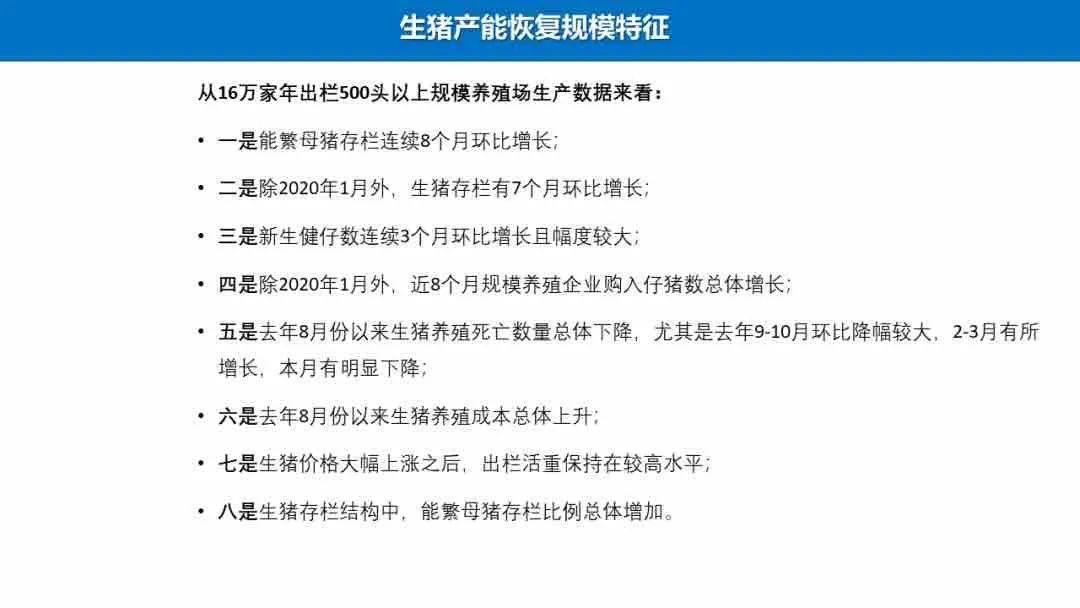 专家深度解析当前局势最新动态