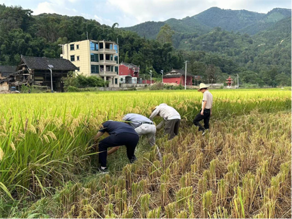 甘肃农业种植热点探索，最新种植趋势与农业新篇章