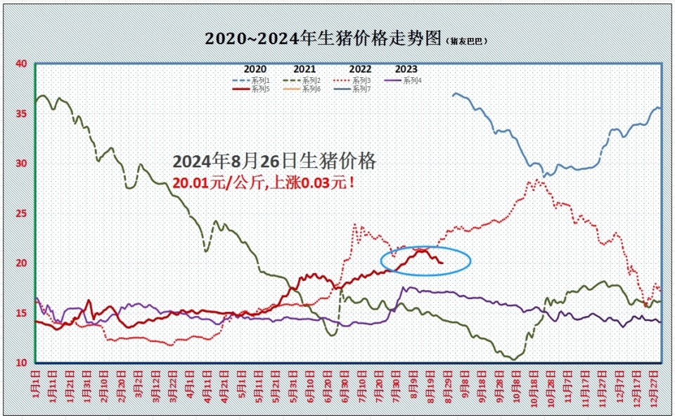 江苏油菜籽最新价格动态及走势分析，多方观点碰撞与个人立场阐述