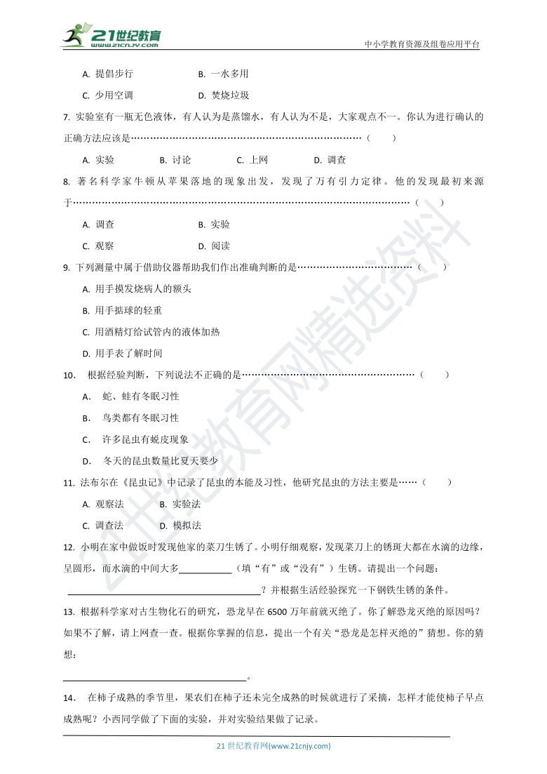 11月最新数学试题，数学之旅探索自然美景，寻找内心宁静的奇妙旅程