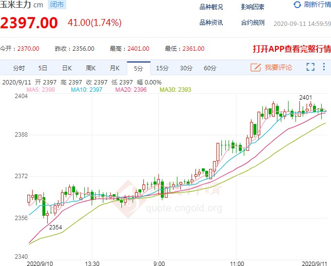 11月9日玉米最新行情分析与展望