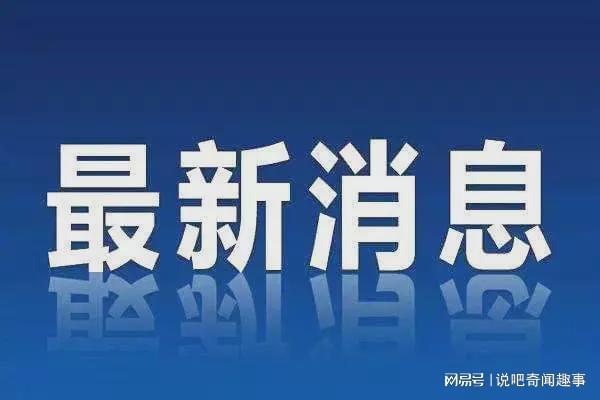 历史上的11月10日，最新商标法的深度测评与介绍