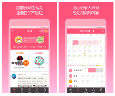 口袋图鉴app最新版（2024年11月版）全面评测与介绍