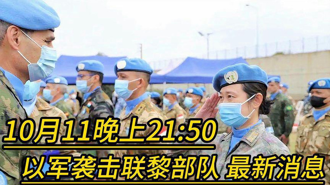 王牌部队新篇章，2024年11月14日最新消息与温馨日常