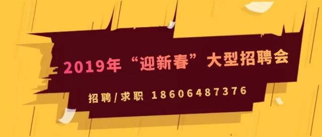 2024年招聘网奇遇日，友情与机遇的交织